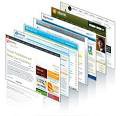 PAQUETE COMPACTO (SITIO WEB)